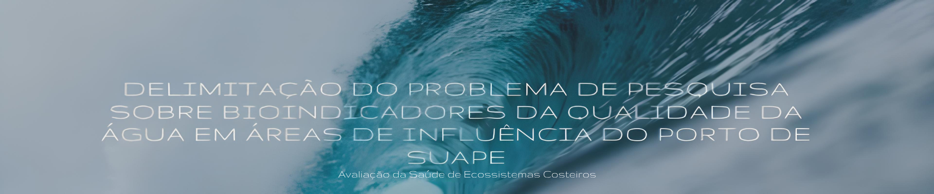 Porto de Suape e ecossistemas costeiros